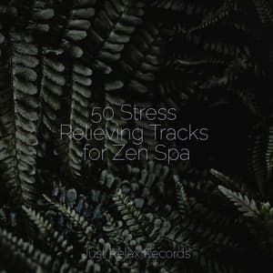 50 Stress Relieving Tracks for Zen Spa - Pro Sound Effects Library