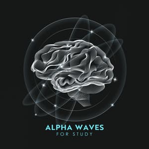Alpha Waves for Cramming: Super Focus Binaural Alpha Beats, Study Music for Brain Power, Relaxing Music - Brain Power Academy