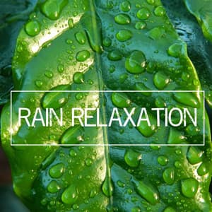 Rain Relaxation - Background Noise Lab