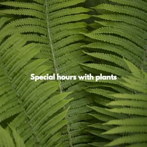 Special hours with plants - Classy Piano Jazz Background