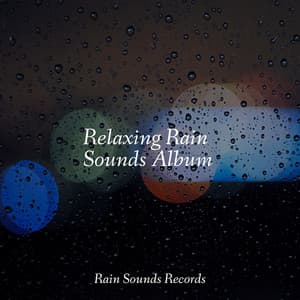 Relaxing Rain Sounds Album - Calming Waves