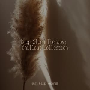 Deep Sleep Therapy: Chillout Collection - Musica para Meditar