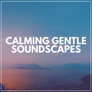 Calming Gentle Soundscapes - Easy Ambient Mind Body Soul Healing Meditation Music