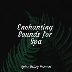 Enchanting Sounds for Spa - Calming Rainforest Sounds