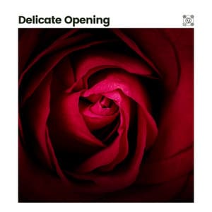 Delicate Opening - Relaxing Classical