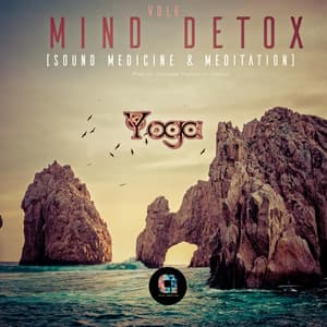 Mind Detox , Vol.6 - Mind Detox