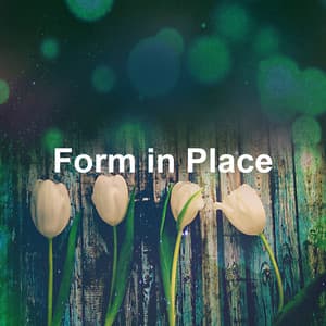 Form in Place - Sleeping Fairy