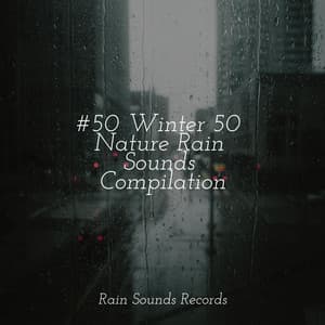 #50 Winter 50 Nature Rain Sounds Compilation - Natureza
