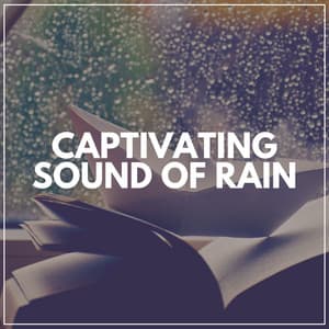 Captivating Sound of Rain - Rain Storm Sample Library