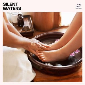 Silent Waters - Reiki