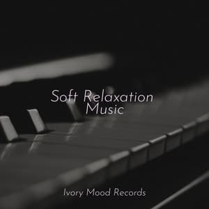 Soft Relaxation Music - Ivory Mood