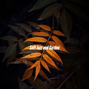 Soft Jazz and Garden - #Calmante