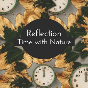 Reflection Time with Nature - Nature Sounds Paradise