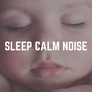 Sleep Calm Noise - Sleep Easy Solutions