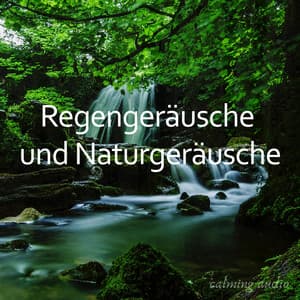 Regengeräusche und Naturgeräusche - Entspannende Blume