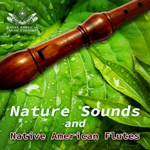 Organic Vibes and Native American Flutes - Andrés Santino