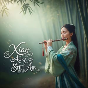 Xiao Aura of Still Air - Daxia Zhou