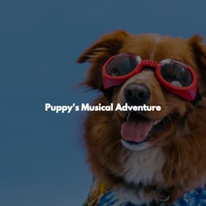 Puppy's Musical Adventure - Good Night Jazz