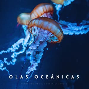 Formación De Olas Oceánicas Vol. 2 - Viento y Océanos