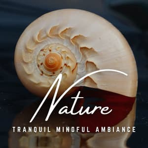 Ethereal Study Time: Celestial Focus - Study Radiance