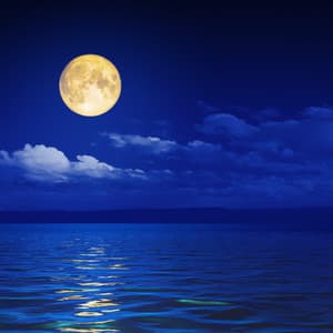 Oceanic Chorus of Soothing Touch: Music for Stress Relief - Ocean Waves Radiance