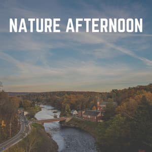 Nature Afternoon - Nature Sound Series