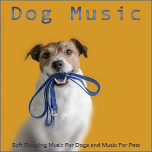 Dog Music: Soft Sleeping Music For Dogs and Music For Pets - Dog Music