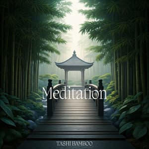 Meditation: Japanese Bamboo Garden - Tashi Bamboo