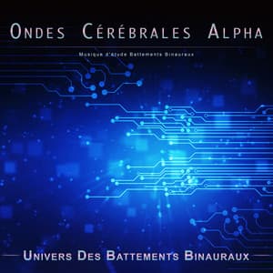 Ondes Cérébrales Alpha : Musique d'étude Battements Binauraux - Concentration Des Ondes Alpha