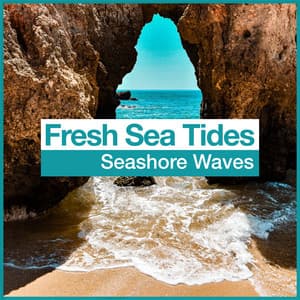 Fresh Sea Tides - Seashore Waves