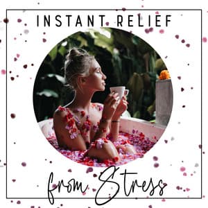Instant Relief from Stress - Calm Music Masters