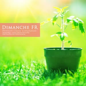 A Classic Collection That Conveys Bright Sensations Like a Refreshing Spring - Dimanche FR