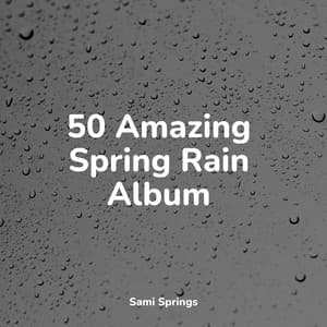 50 Amazing Spring Rain Album - Mother Nature Sound FX