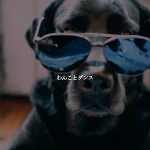 わんことダンス - French Cafe Jazz Lounge