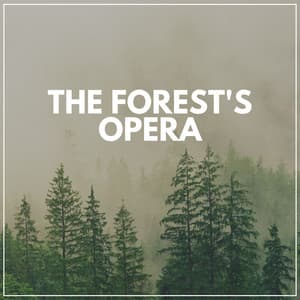 The Forest's Opera - Florida Nature