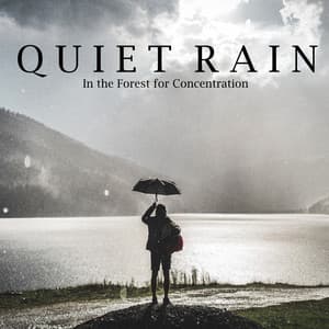 Quiet Rain in the Forest for Concentration - Study Music & Sounds