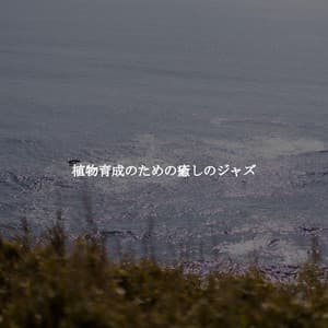 植物育成のための癒しのジャズ - Música para Tiendas Minoristas Musica De Fondo