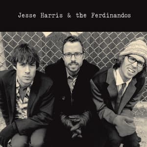 Jesse Harris & The Ferdinandos - Jesse Harris