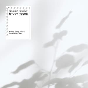 White Noise for Study Focus - White Noise Research