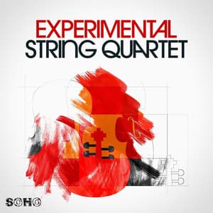 Experimental String Quartet - David Arnold