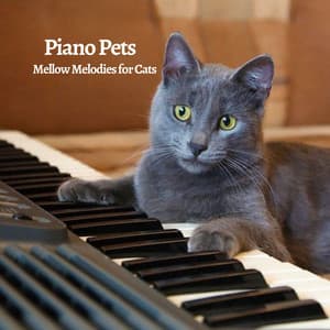 Piano Pets: Mellow Melodies for Cats - Music For Cats