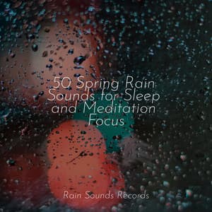 50 Spring Rain Sounds for Sleep and Meditation Focus - Rain Sound Studio