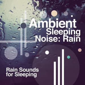 Ambient Sleeping Noise: Rain - Rain Sounds for Sleeping
