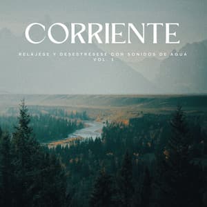 Corriente: Relájese Y Desestrésese Con Sonidos De Agua Vol. 1 - Riverside subterráneo