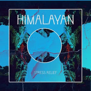 Himalayan Stress Relief: Mystical Meditation with Energy from the Highest Mountains - Less Stress Music Academy