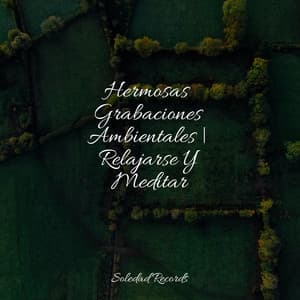 Hermosas Grabaciones Ambientales | Relajarse Y Meditar - Massagem Coleção de Músicas