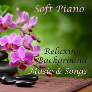 Soft Piano: Relaxing Background Music and Soft Songs - Instrumental Music Group