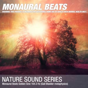 Monaural Beats Golden Sine 164.3 Hz - Binaural Beats