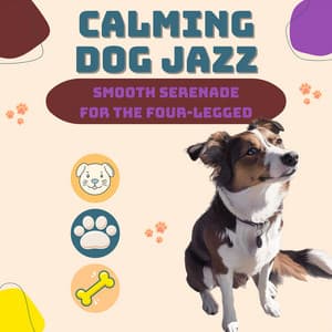 Smooth Serenade for the Four-Legged - Calming Dog Jazz