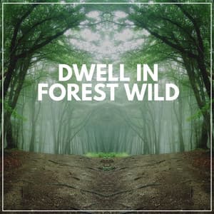 Dwell in Forest Wild - Forest Soundscapes